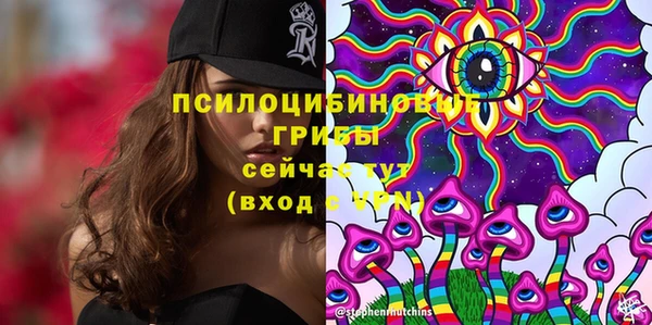 гашишное масло Заводоуковск