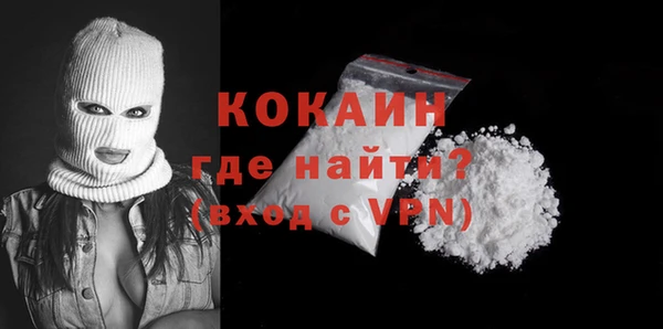 шишки Инсар