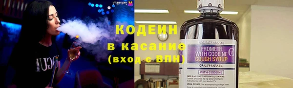 молекула духа Ельня
