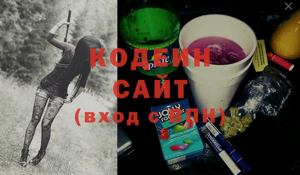 молекула духа Ельня