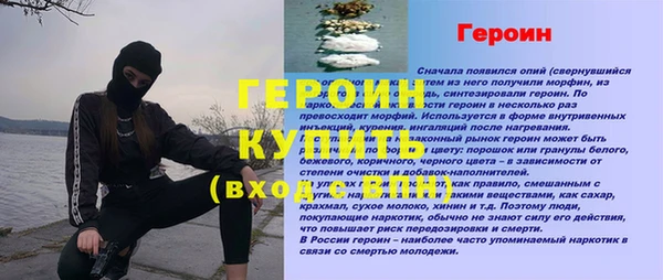 молекула духа Ельня