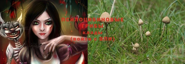 бошки Каменск-Шахтинский