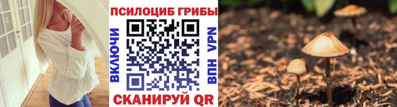Галлюциногенные грибы мицелий  Купить где  Краснотурьинск 